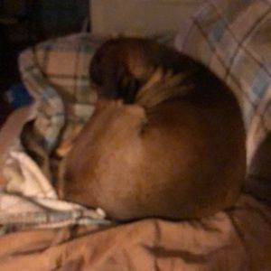 Meet your Posher, Sheree